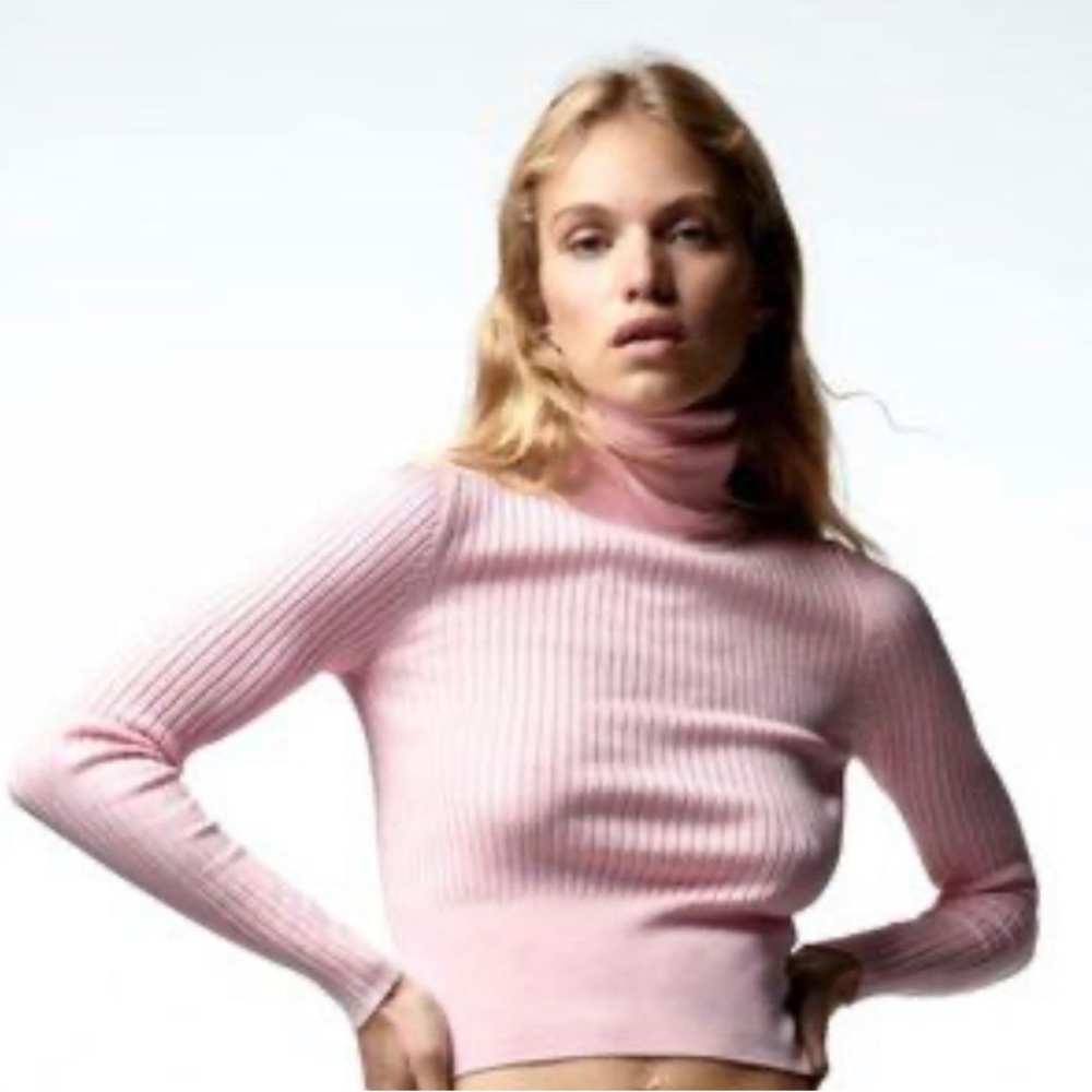 ZARA Long Sleeve Turtleneck - Picture 2 of 9